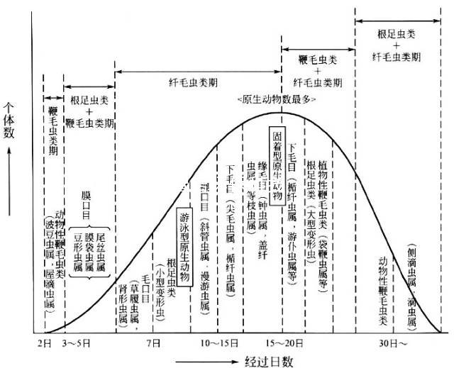 活性污泥生物变化